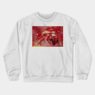 Peppermint Candy Colored Poinsettias Digital Art Crewneck Sweatshirt